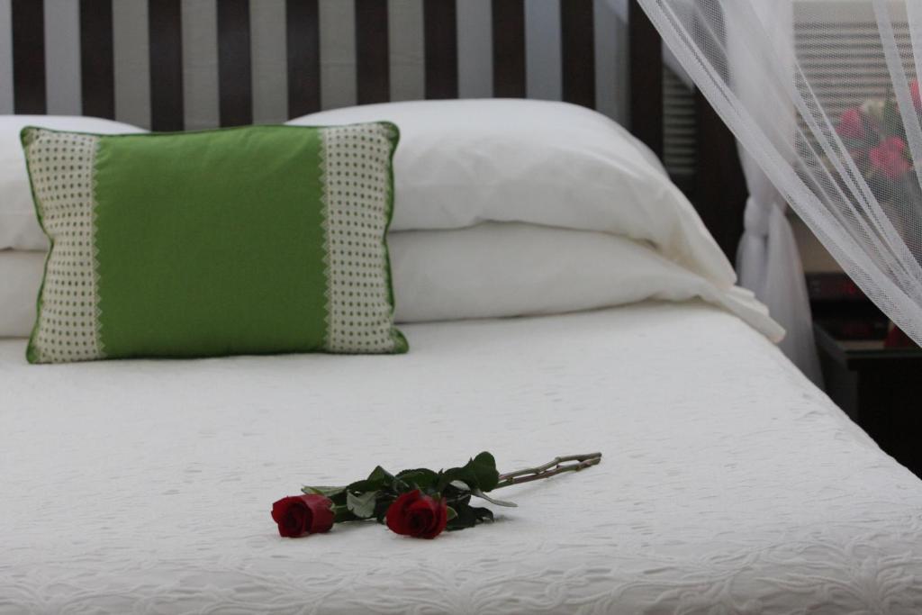 Avalon Bed And Breakfast (Adults Only) Key West Extérieur photo